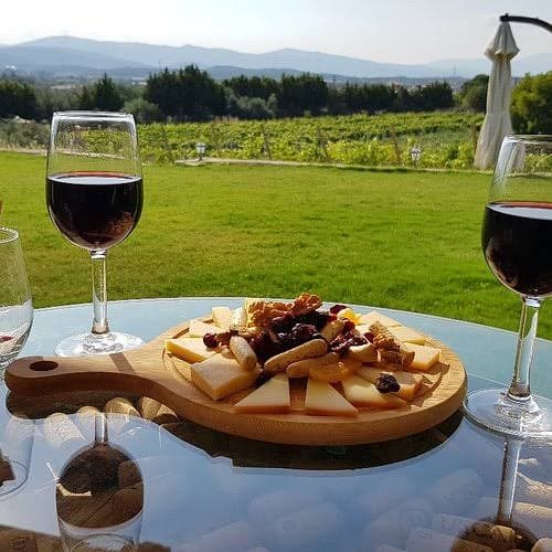 Wine and a cheese board overlooking a vineyard
